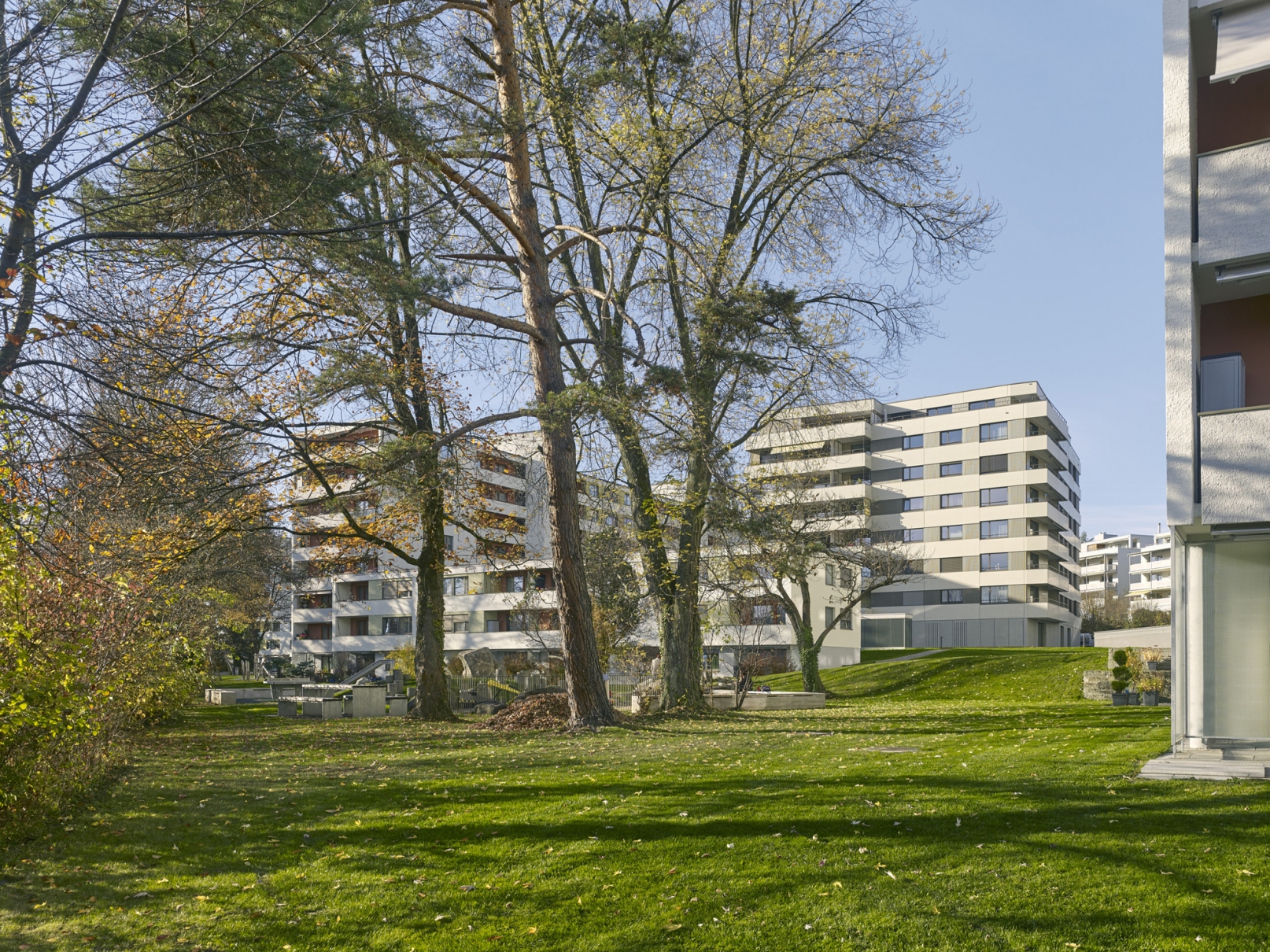 Architektur Projekt Frankental, stehrenberger architektur, Katharina Stehrenberger